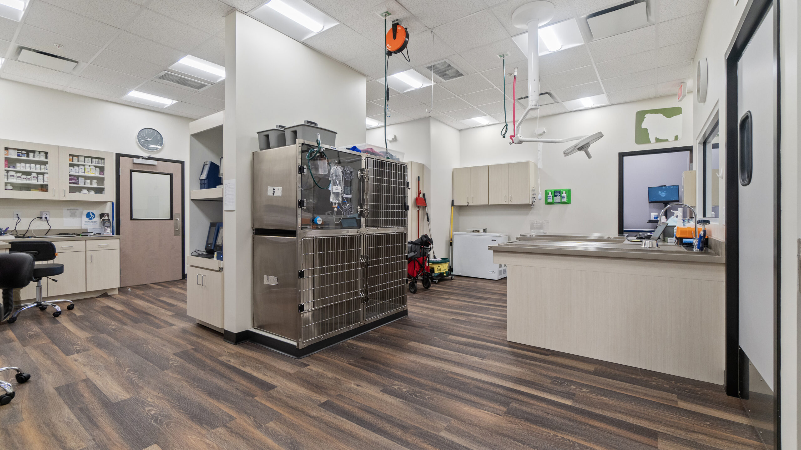 Veterinary Clinic Construction in Virginia: Designing Comfort for Pets & People